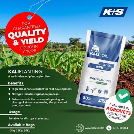 K+S / Kpluss