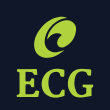 Effulge Consulting Group (ECG Kenya)